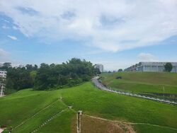 Blk 533 Bukit Batok Street 51 (Bukit Batok), HDB Executive #576804001